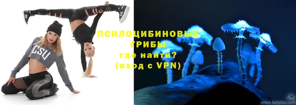дживик Алексин