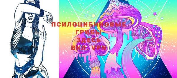 ешки Алексеевка