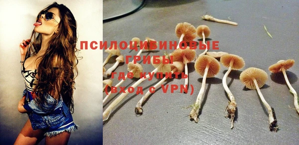 ешки Алексеевка