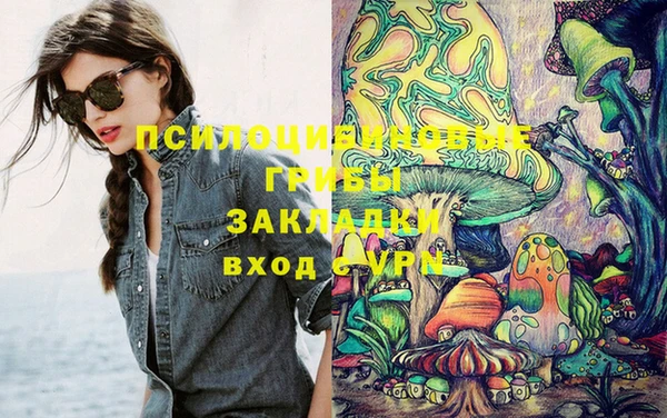 ешки Алексеевка